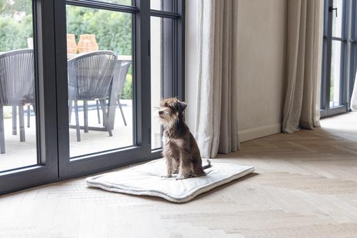Produktbild Designed by Lotte Nalino (Hund)