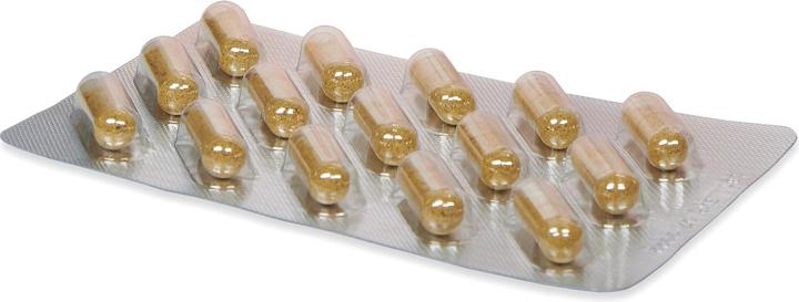 Actual product image Badkan TM plus joints bones (150 Piece, Capsules, 139 g)