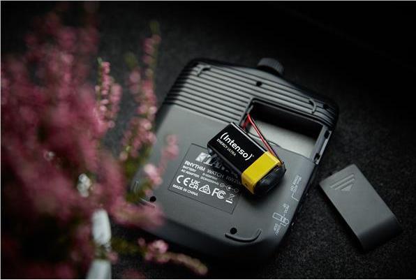 Actual product image Intenso Batterie Alkaline, E-Block, LR61, 9V (4 pcs., AAAA, E Block, 560 mAh)