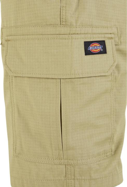 Actual product image Dickies Millerville Shorts (30)