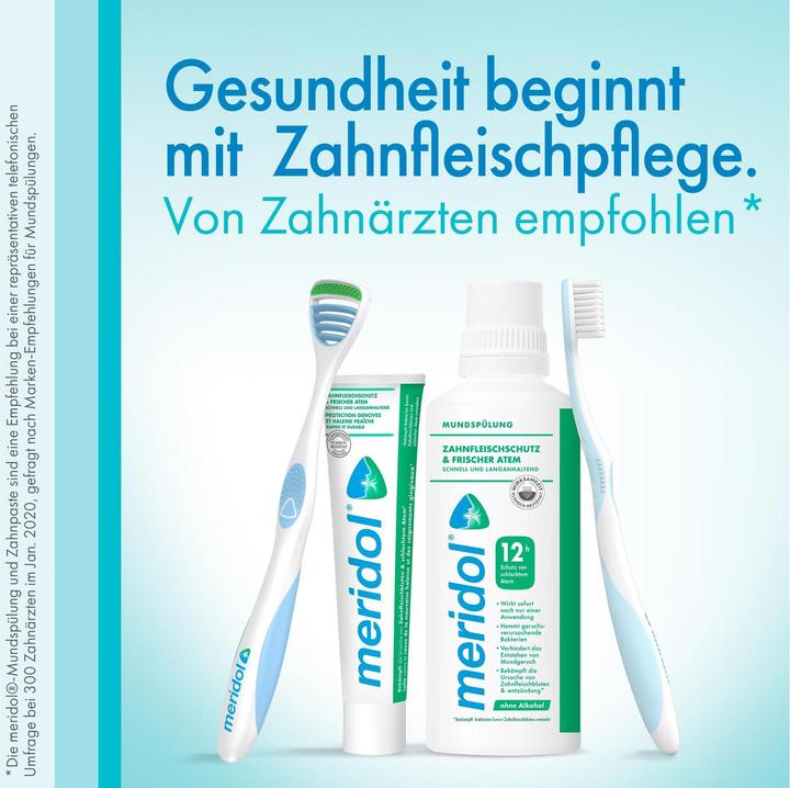 Actual product image Meridol Gum Protection & Fresh Breath (400 ml, Mouthwash)