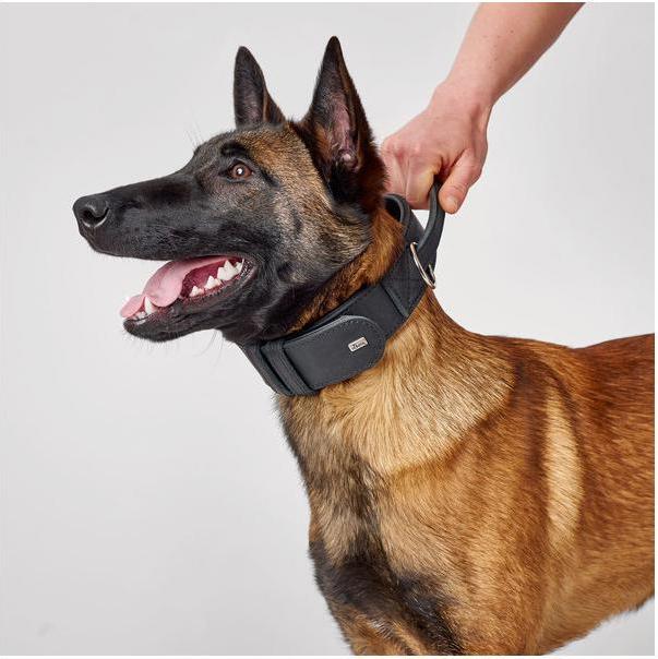 Produktbild Hunter Trainingshalsband mit Gri Larvik (L, Hund, Hundesport)