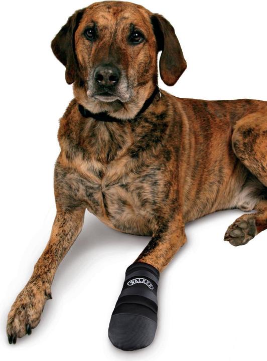 Produktbild Trixie Walkerschuh (S, Hundeschuhe)