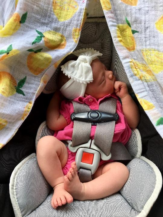 Actual product image little unicorn Car Seat Canopy