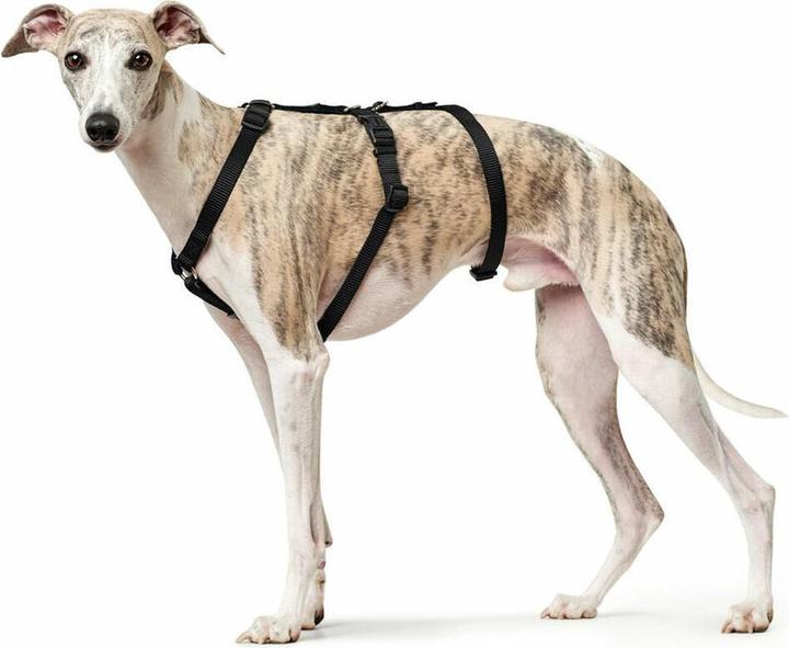Immagine prodotto Hunter Imbracatura di sicurezza Vario Rapid (L, Cane, Generale)