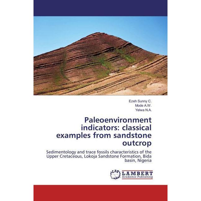 Paleoenvironment indicators: classical examples from sandstone outcrop, Fachbücher