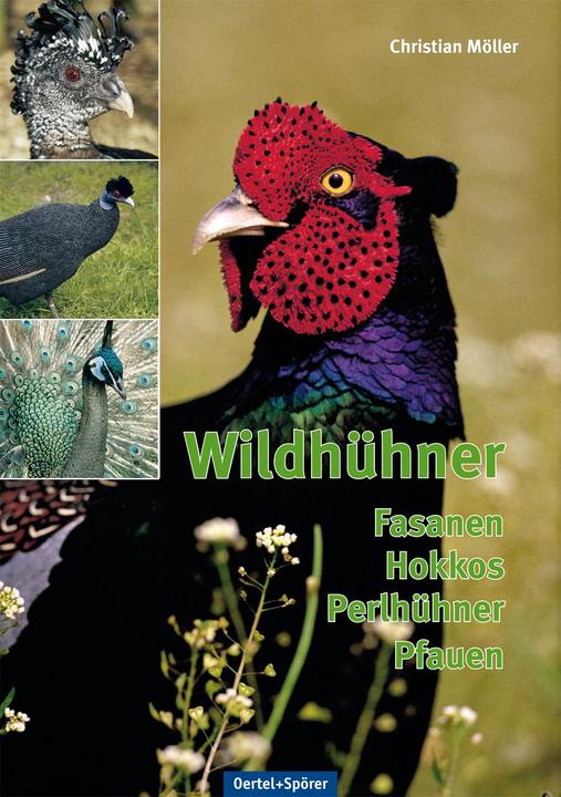 Produktbild Wildhühner (Deutsch, Christian Möller, Hans von Boetticher, 2013)