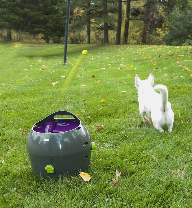 Immagine prodotto PetSafe Lanciatore di palle (Palla giocattolo per cani)