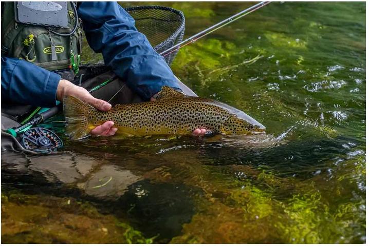 Actual product image Vision Nymphmaniac Twintip Cork 1093-4 (Allround rod, 332 cm)