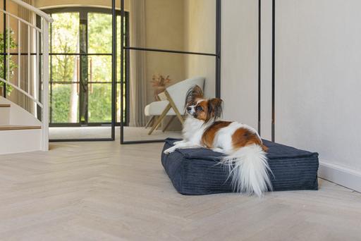 Actual product image Designed by Lotte Ribbed (Dog)