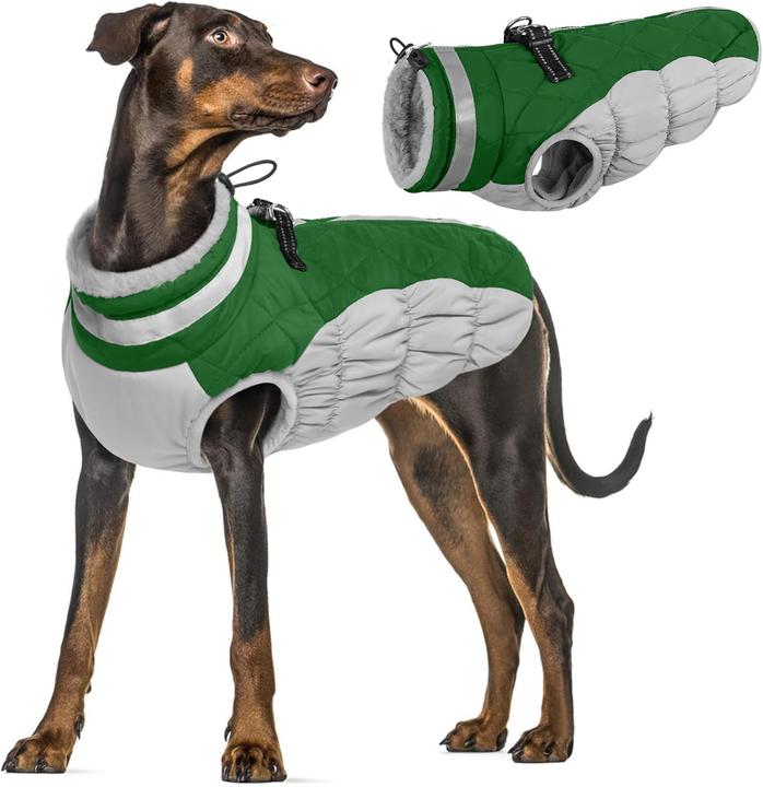 wolters hundemantel dackel HUNTER - Paxson Dackel Hundemantel main image 1