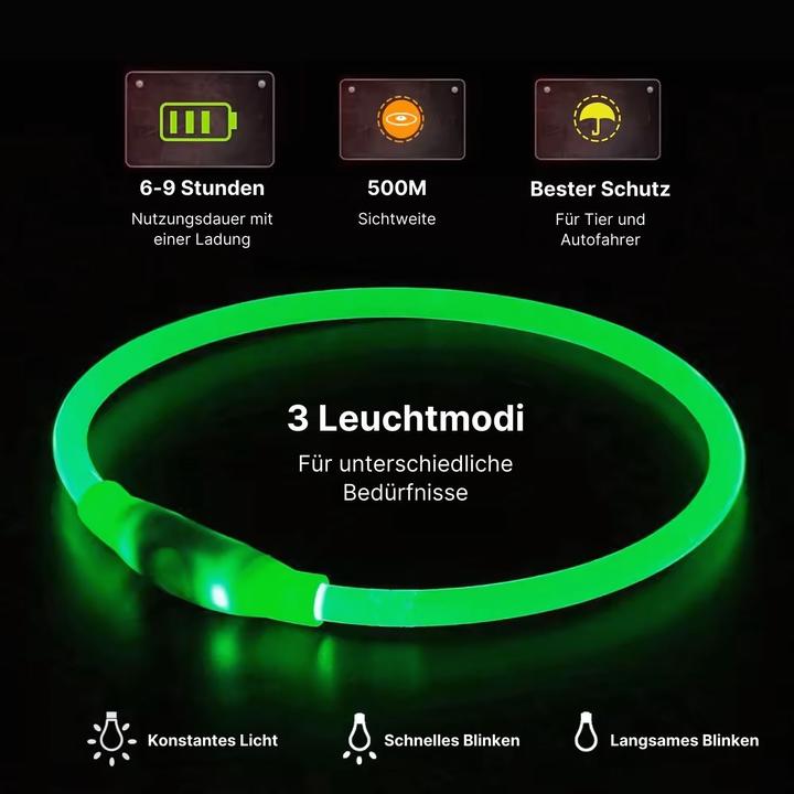 Actual product image Hermex LED dog collar (Dog, General)
