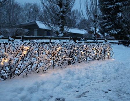 Actual product image Star Trading system decor (2.50 m)