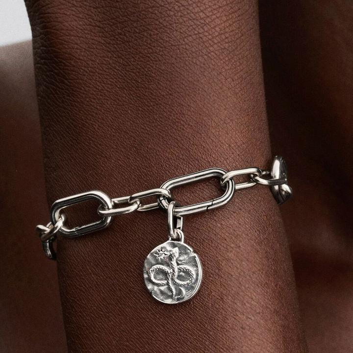 Image du produit Pandora Breloque médaillon serpent infini (Argent 925)