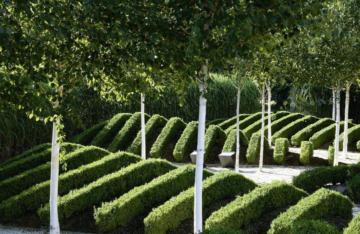 Produktbild Exklusives Gartendesign - Spektakuläre Privatgärten (Deutsch, Ulrich Timm, 2009)