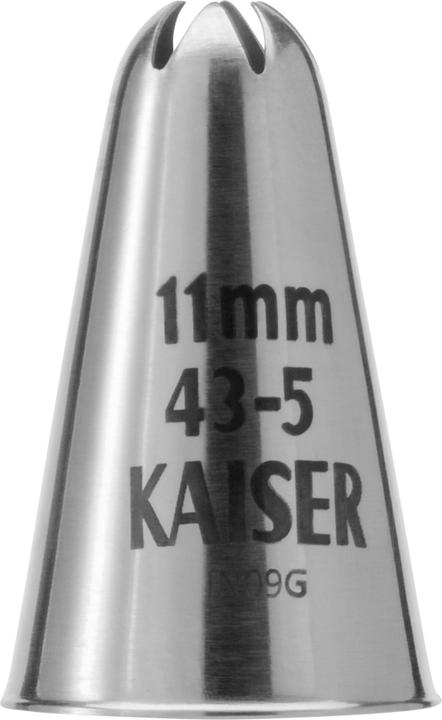 Kaiser Ugello a stella (Effusore)