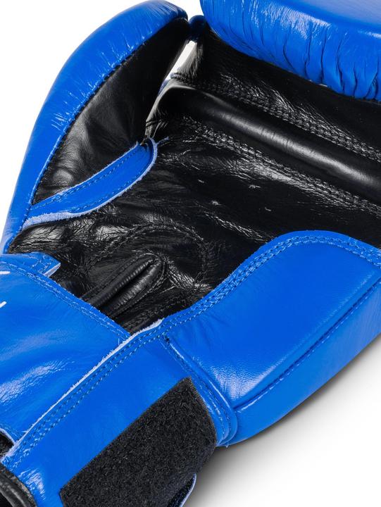 Actual product image Benlee Fighter (10 OZ, 10)