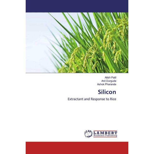Silicon, Fachbücher von Anil Durgude, Atish Patil, Ashok Pharande