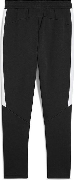 Actual product image Puma teamEVOSTRIPE Pants (L)
