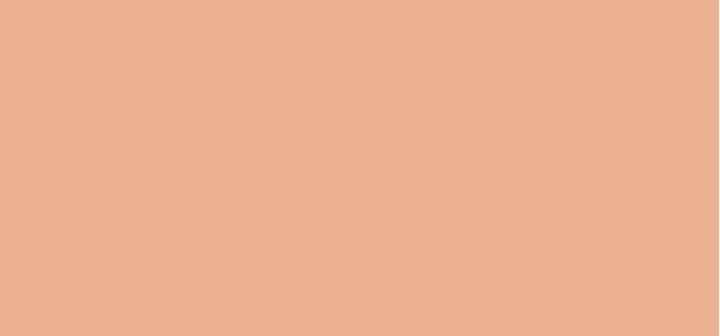 Actual product image Lancôme Complexion Idole Ultra Wear (Camel)
