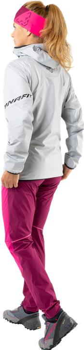 Actual product image Dynafit Traverse GTX jacket (L)