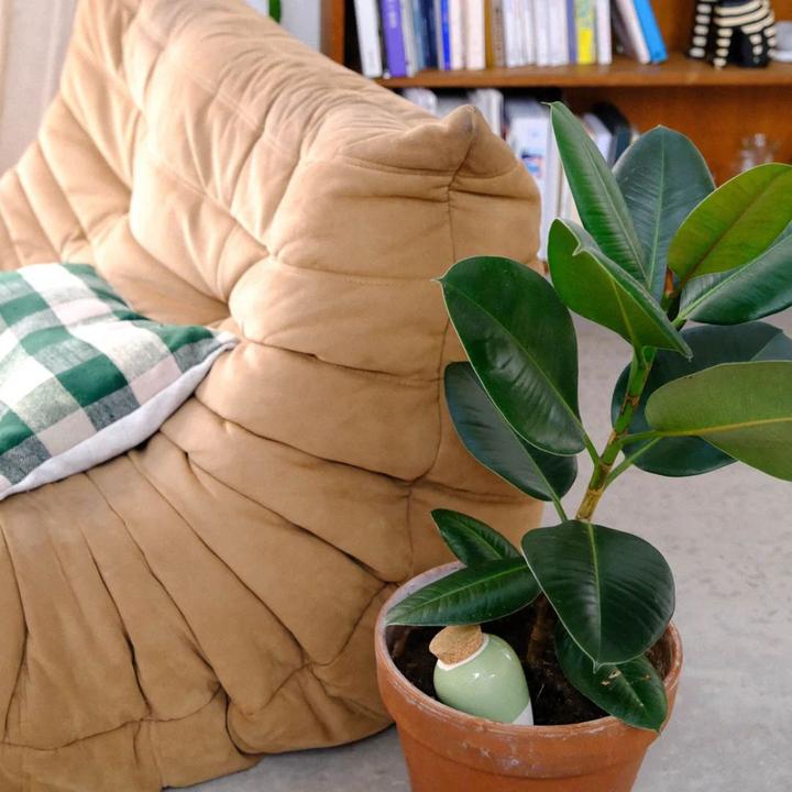Image du produit Pepin Olla Selbstbewässerungssystem (Cône d'argile)