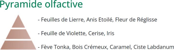 Image du produit Maison Berger Lampe 40 Set Lolita Lempicka Transparent et parfum Lolita Lempicka (250 ml)