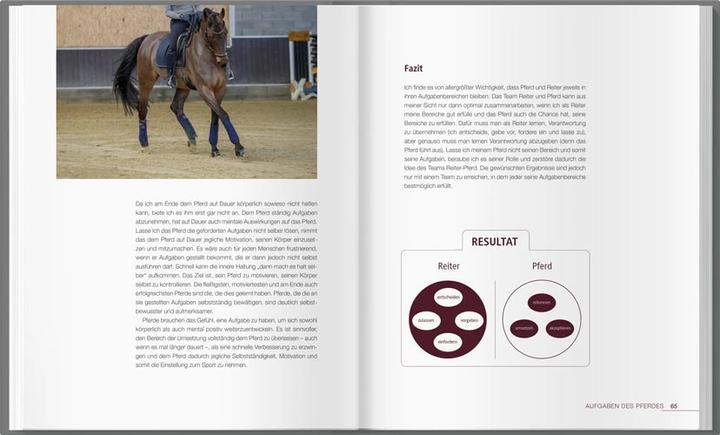 Image du produit Reiten - leicht & logisch (Allemand, Michael Fischer, 2020)