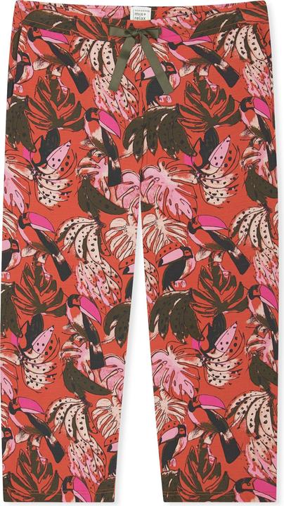 Creme, Grün, Rosa, Terracotta