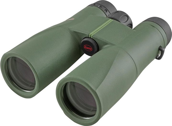 10 x 42
