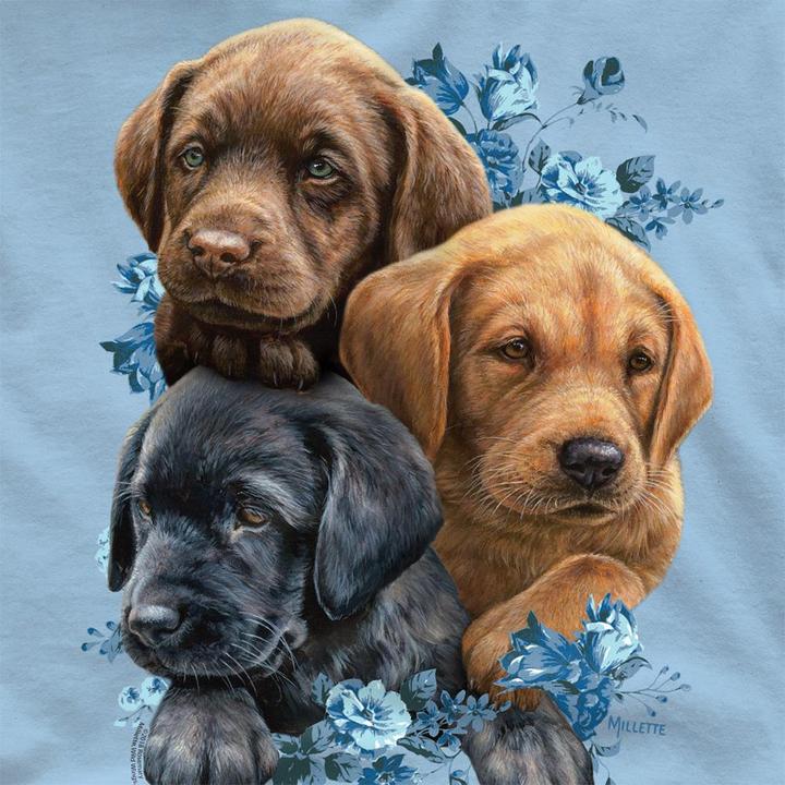 Produktbild Wild Wings Puppy Pile TShirt (S)