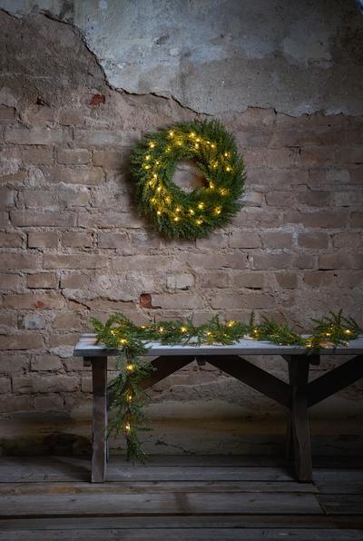 Actual product image Star Trading Thuja