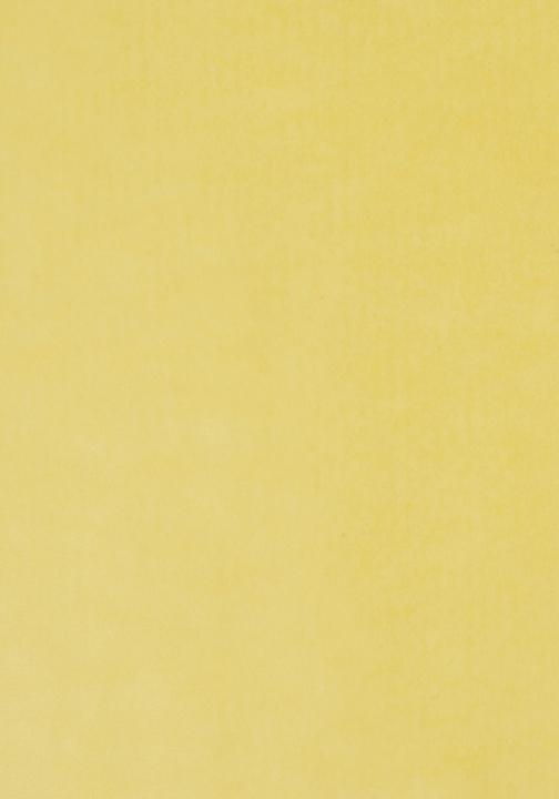 Image du produit Folia Papier transparent, (L)500 x (H)700 mm, 42 g/qm, couleur (42 g/m², 100x)