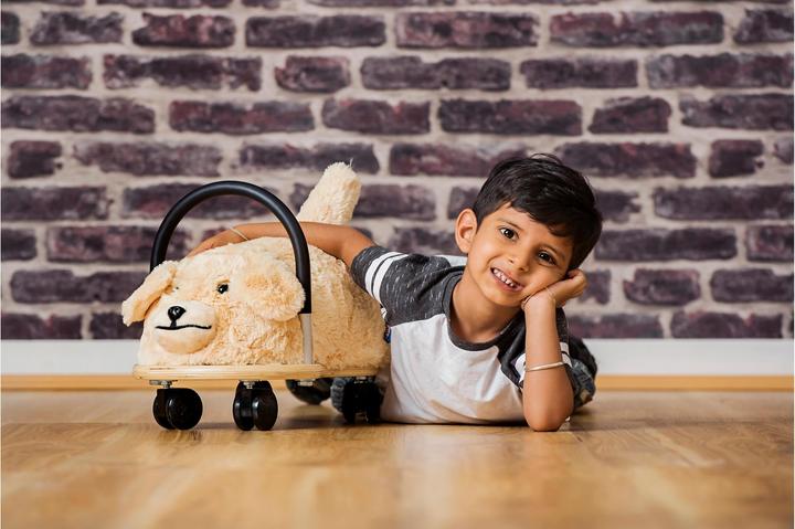 Actual product image Wheely Bug Dog small