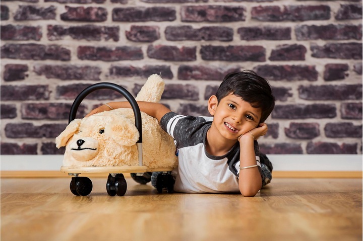 Actual product image Wheely Bug Dog small