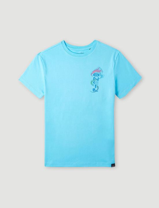 Produktbild O'Neill Team T-Shirt (164)