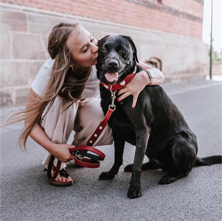 Actual product image Hunter Love adjustable lead, 18/200, red/black, width: 1.8 (Dog, General)