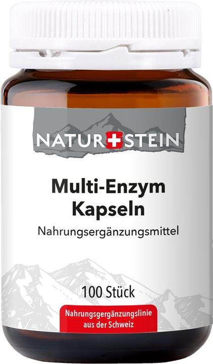 Actual product image Naturstein Multi Enzyme Capsules (100 Piece, Capsules, 155 g)