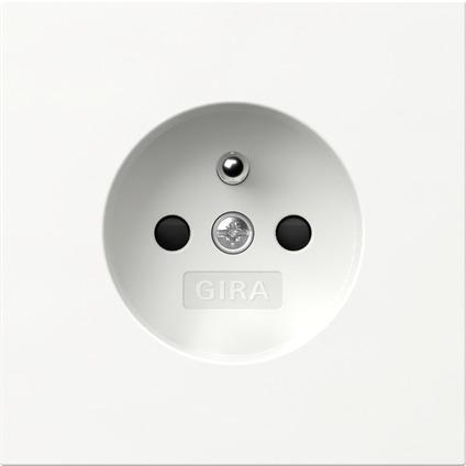 Gira Steckdose Erdstift