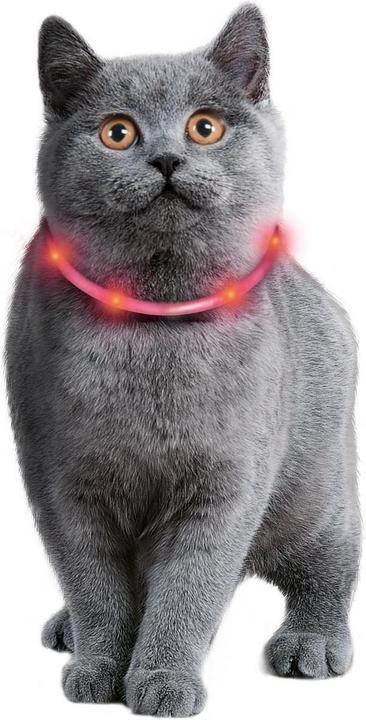 Actual product image Karlie Visio Light (One size, Cat, Walks)