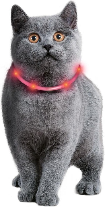 Image du produit Karlie Visio Light (Taille unique, Chat, Promenade)