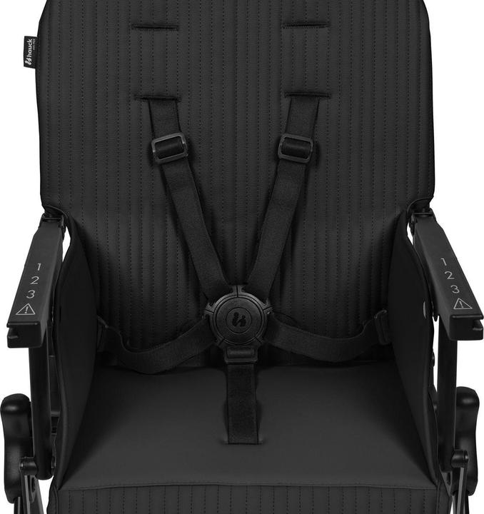Image du produit Hauck Sit N Go