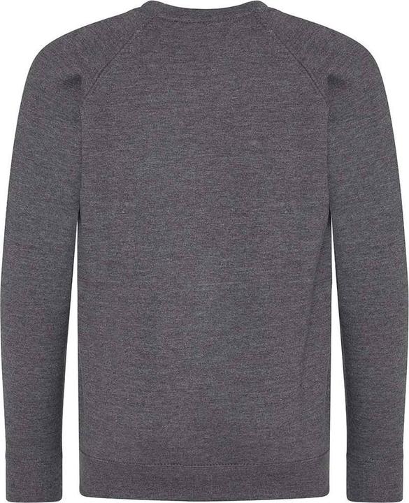 Actual product image Awdis Academy school sweatshirt round neck (164)
