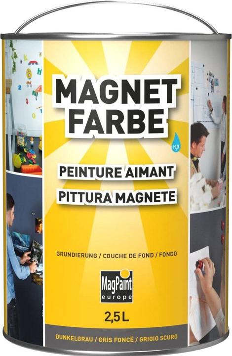 Actual product image Magpaint Magnetic color