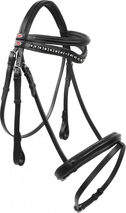 Image du produit - Bride pour chevaux LYNTON
