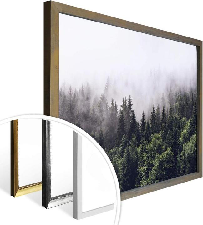 Produktbild Trenddeko Nebliger Wald (40 x 30 cm)