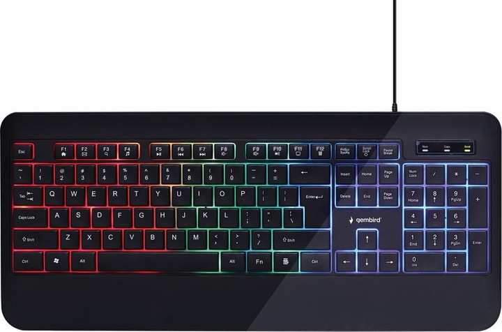 Gembird /'Rainbow/' Illuminated Multimedia Keyboard, black, US Layout (US, Cable)