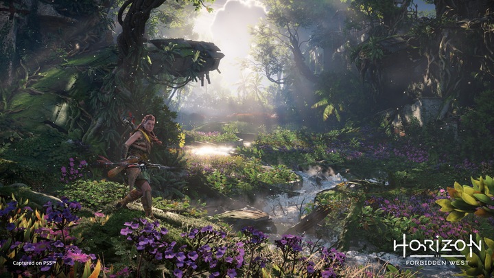 Produktbild Sony Horizon Forbidden West (PS4, EN)