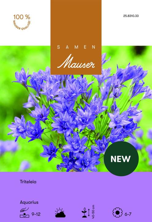 Image du produit Samen Mauser Triteleia Aquarius (Bulbes de fleurs)