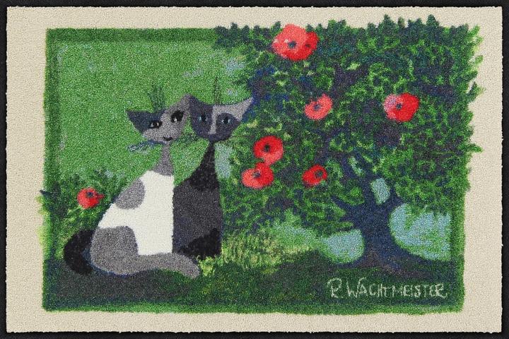 Salonloewe Adamo ed Eva (50 x 75 cm)